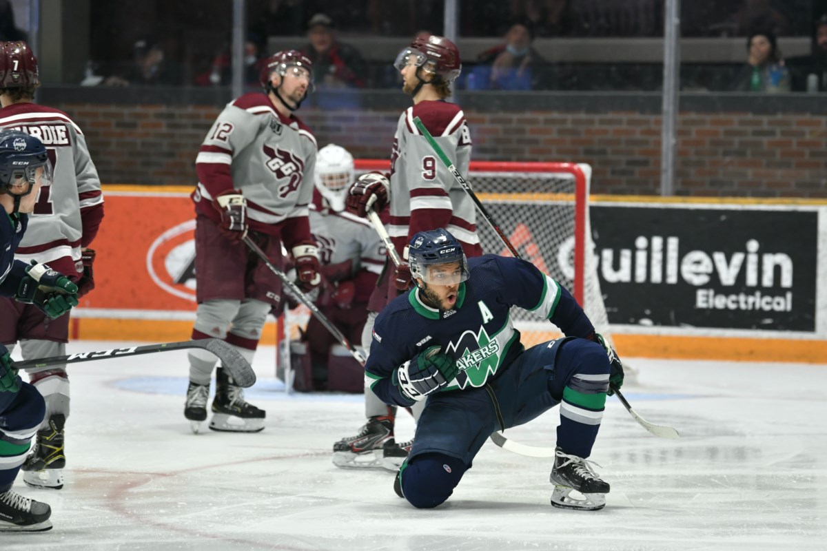 Nipissing Lakers women's hockey team has high hopes for the